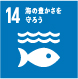 SDGs14 海の豊かさを守ろう